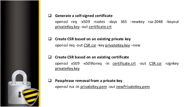 Generate private key from crt openssl version